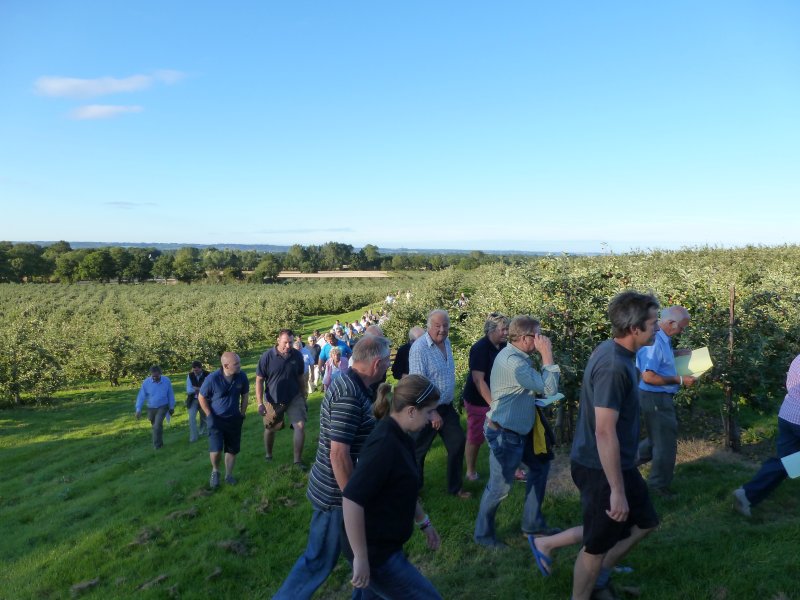 Walking the winning orchards